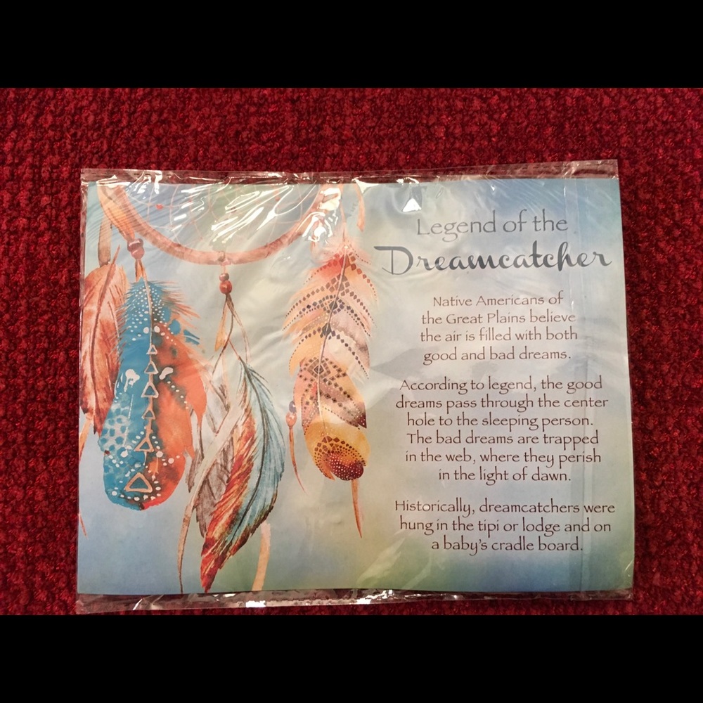 Dream Catcher ( hang in any window for protection)